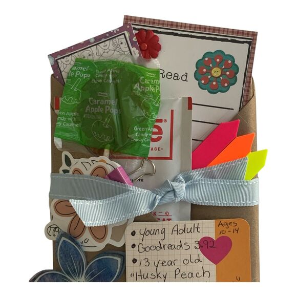 Blind Date With A Book Young Adult YA Realistic Fiction Birthday Gift Holidays - Picture 3 of 6
